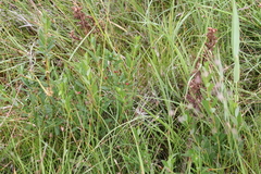 Killikus&reg; Fotographie